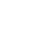 light logo